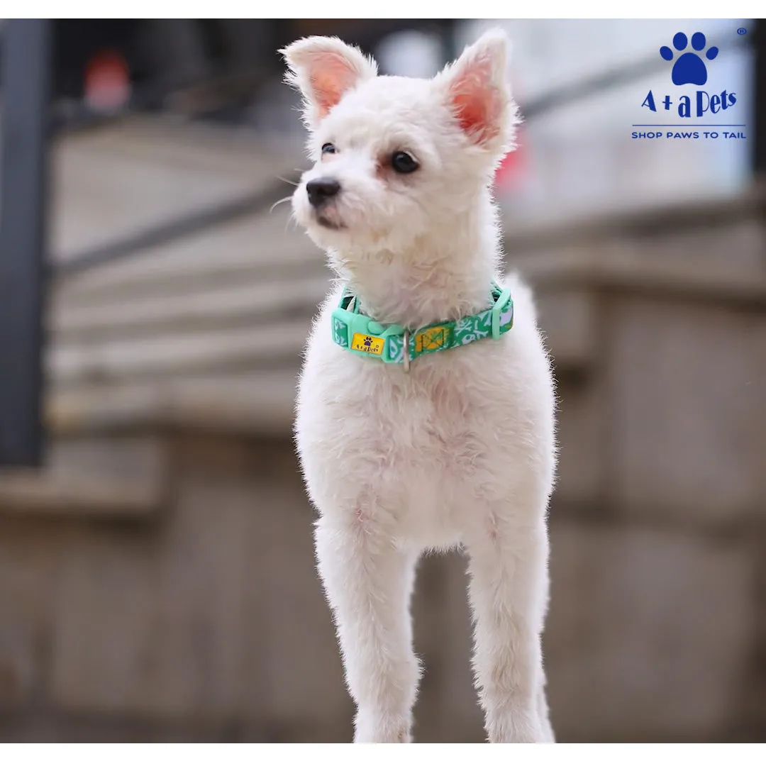 A A Pets' Pirate Design Collar For Dogs and Cats - Green