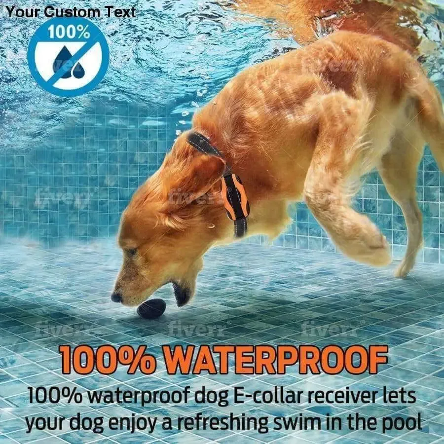 Bark Collar Dog Training Anti Kit Shock Auto Led Pet Rechargeable No Positive Control Shocker Stop