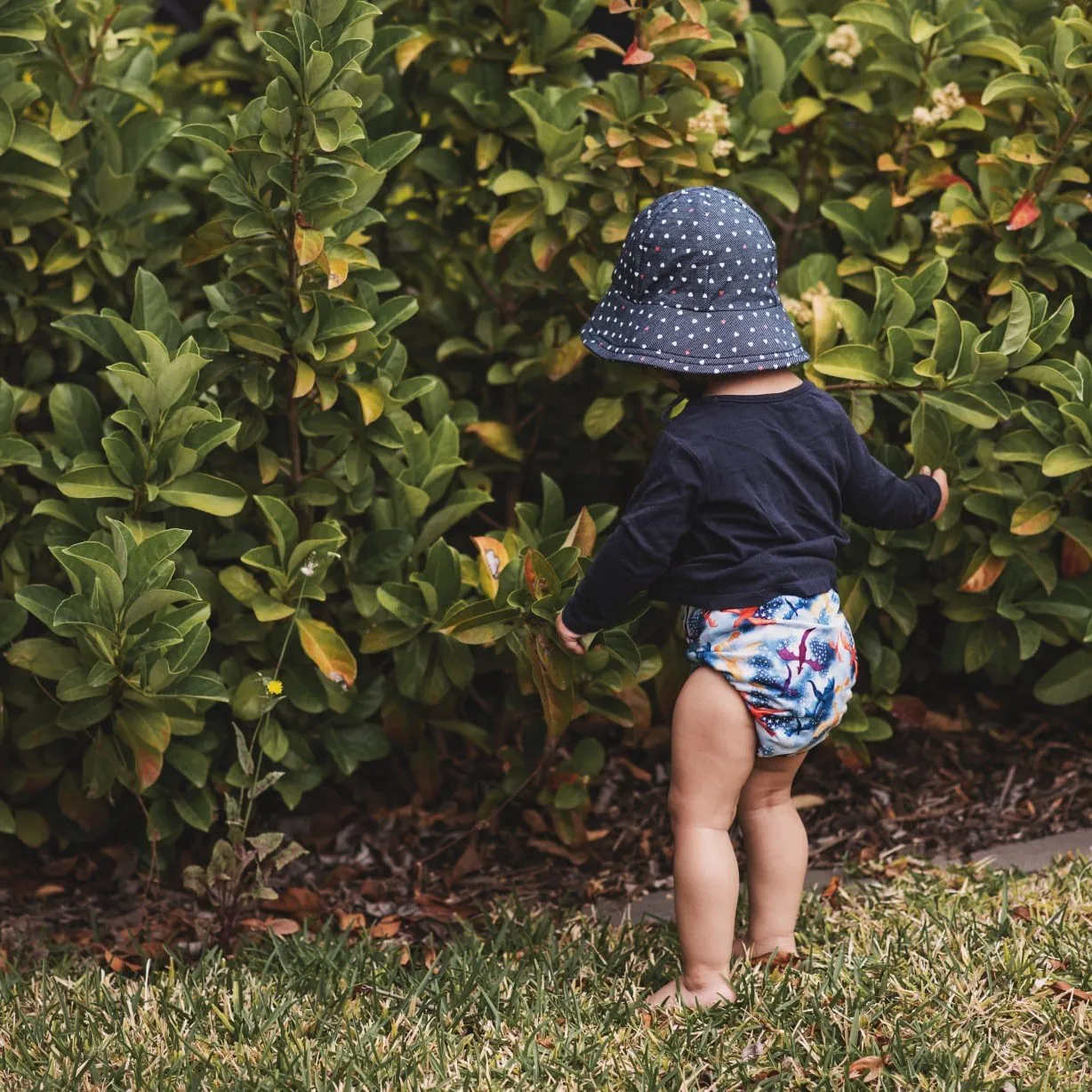 Classic Reusable Cloth Nappy V1.0 | Fire & Ice