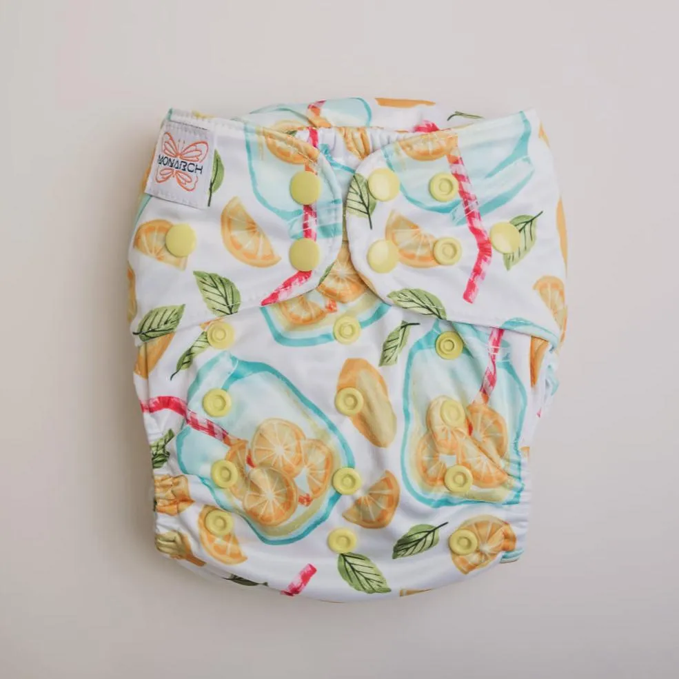 Classic Reusable Cloth Nappy V1.0 | Lemon Squeezy