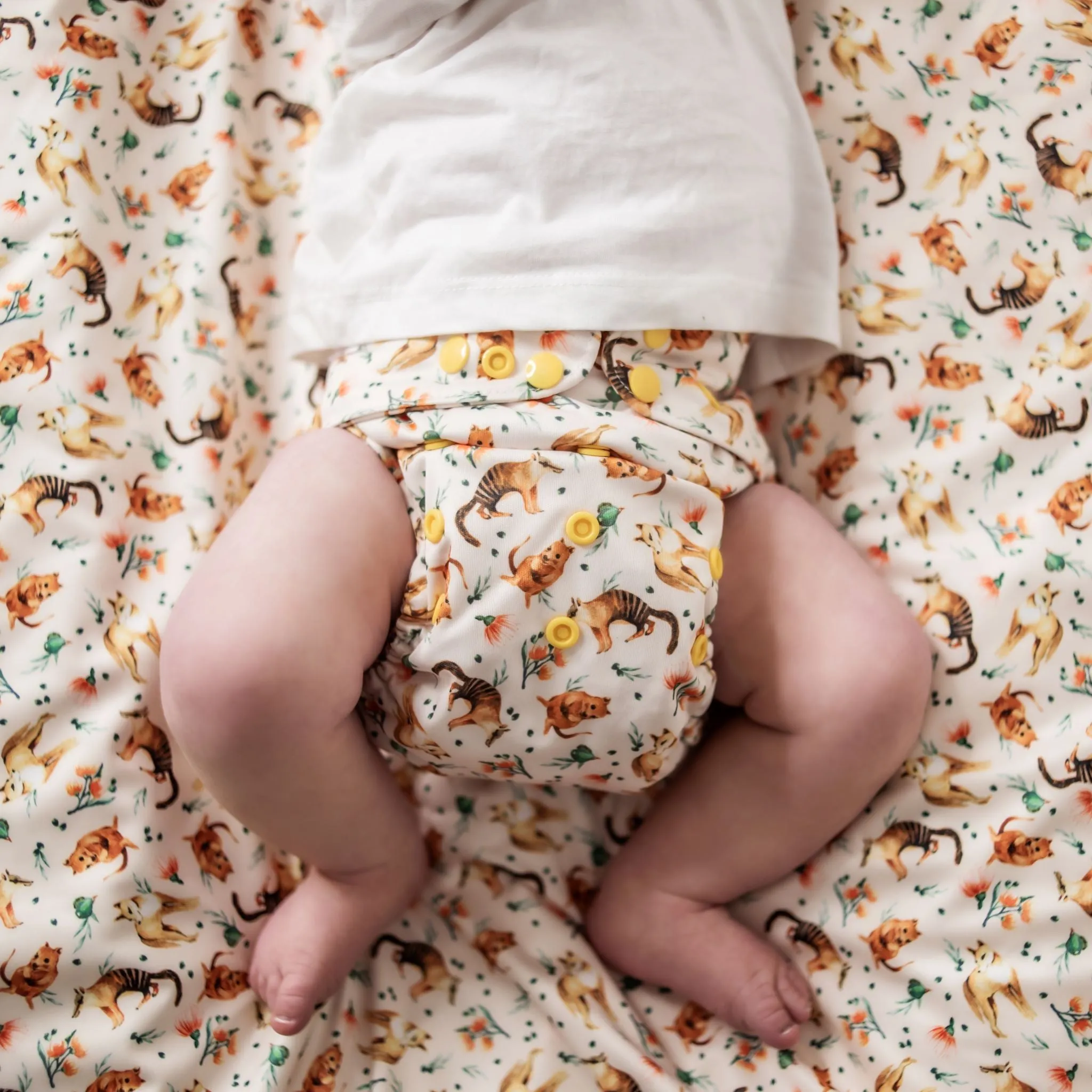 Classic Reusable Cloth Nappy V2.0 | Bush Buddies
