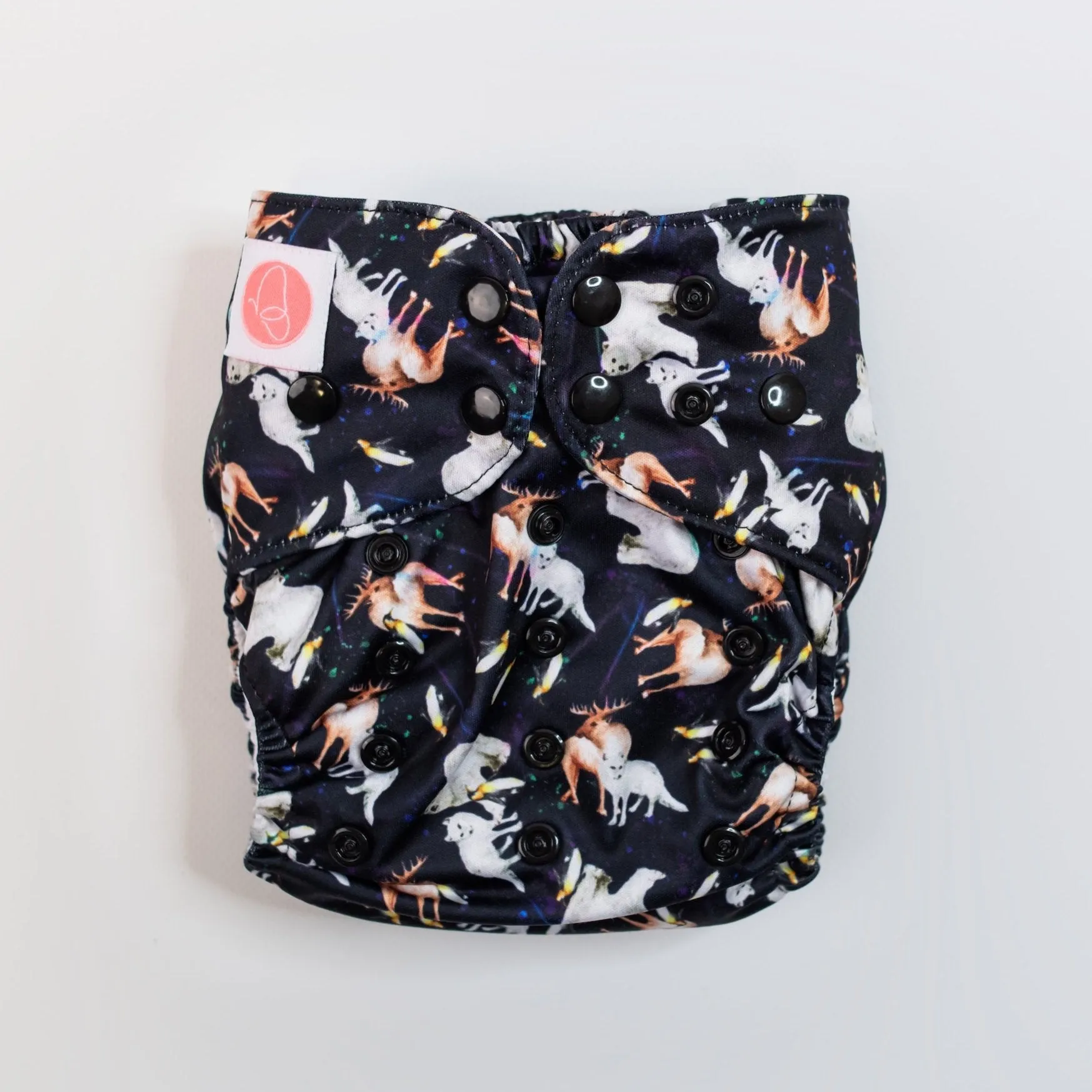 Classic Reusable Cloth Nappy V2.0 | Disco Bears