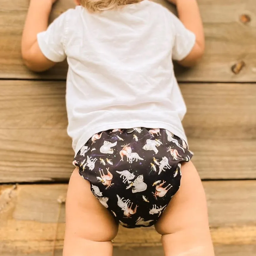 Classic Reusable Cloth Nappy V2.0 | Disco Bears