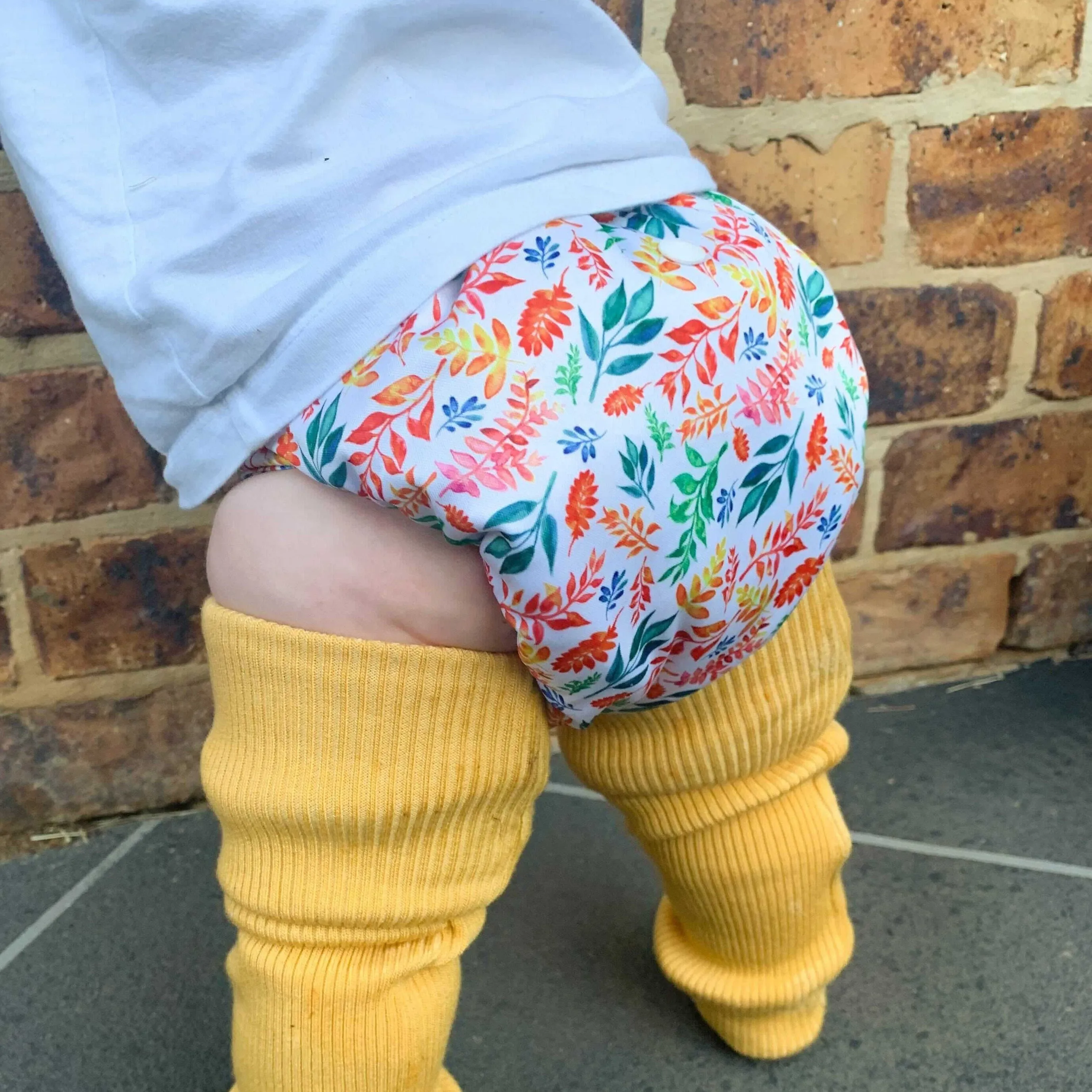 Classic Reusable Cloth Nappy V2.0 | Four Seasons