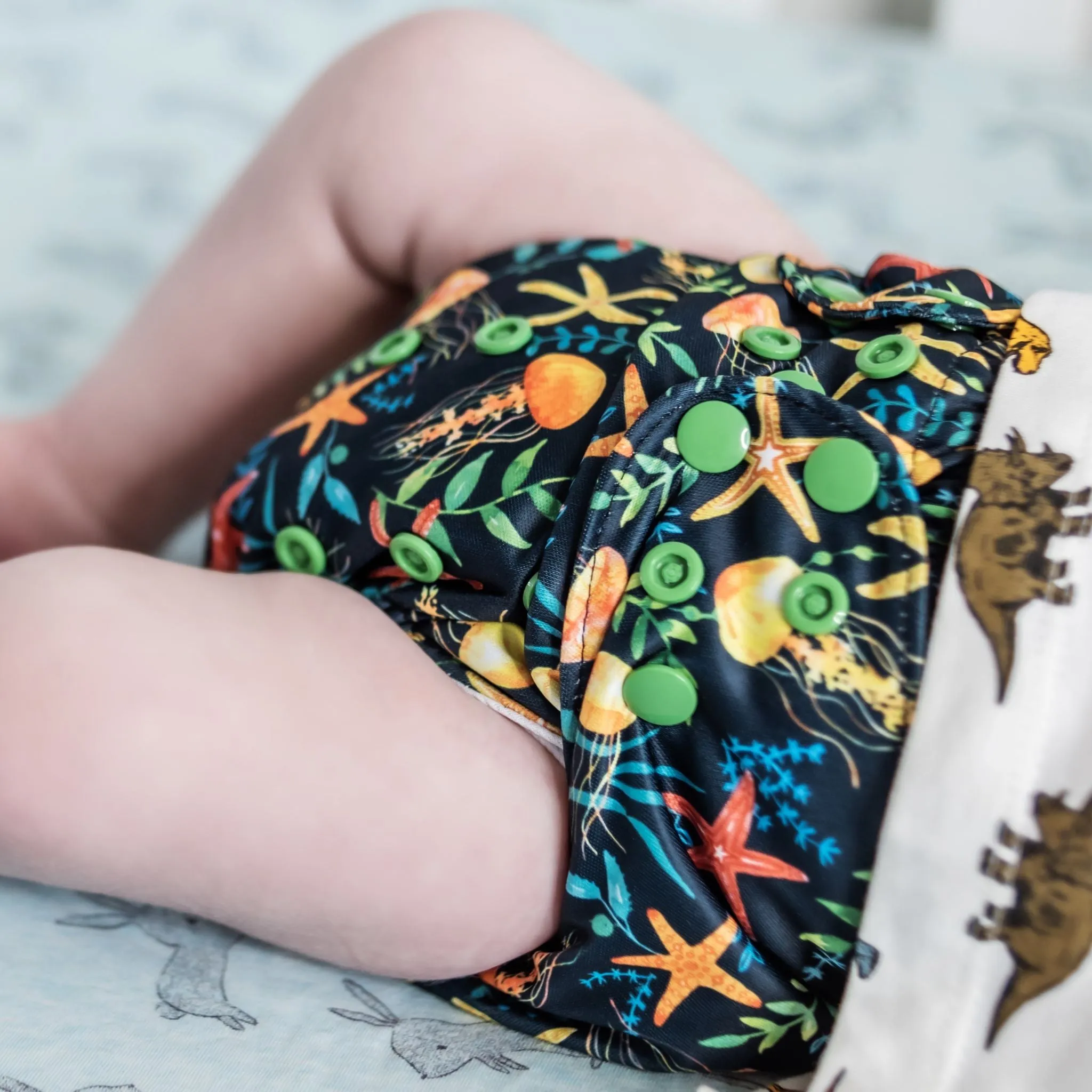Classic Reusable Cloth Nappy V2.0 | You Jelly?