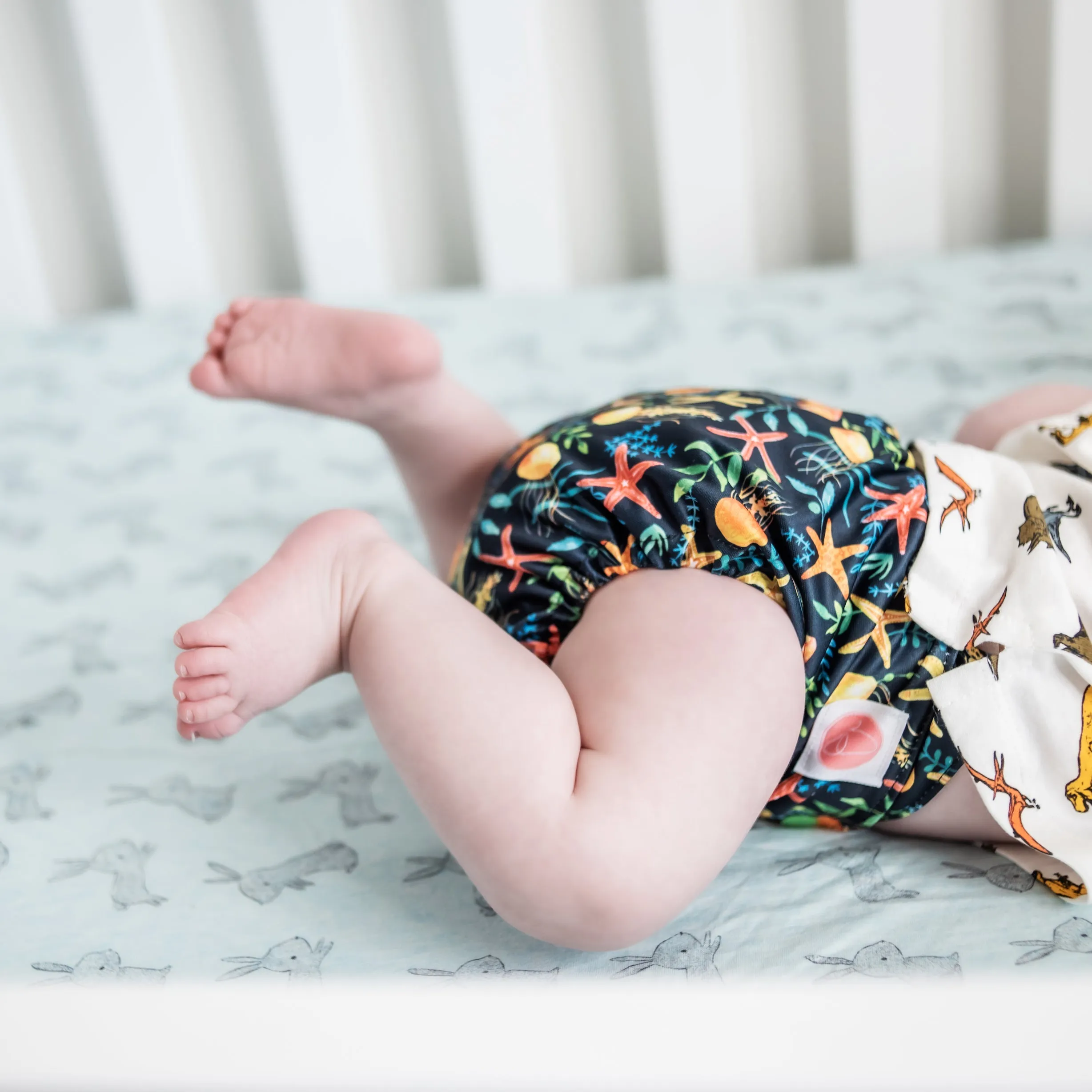 Classic Reusable Cloth Nappy V2.0 | You Jelly?