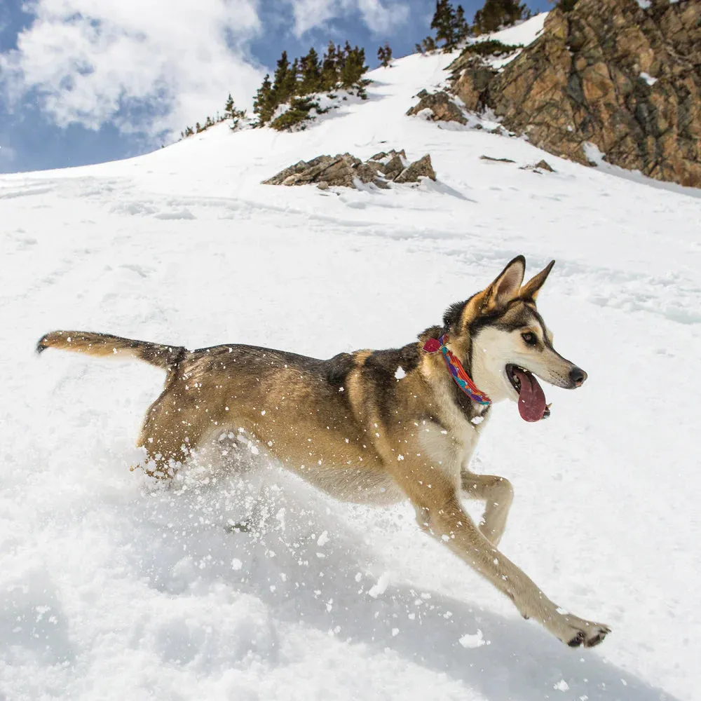 Collar | Surf & Ski