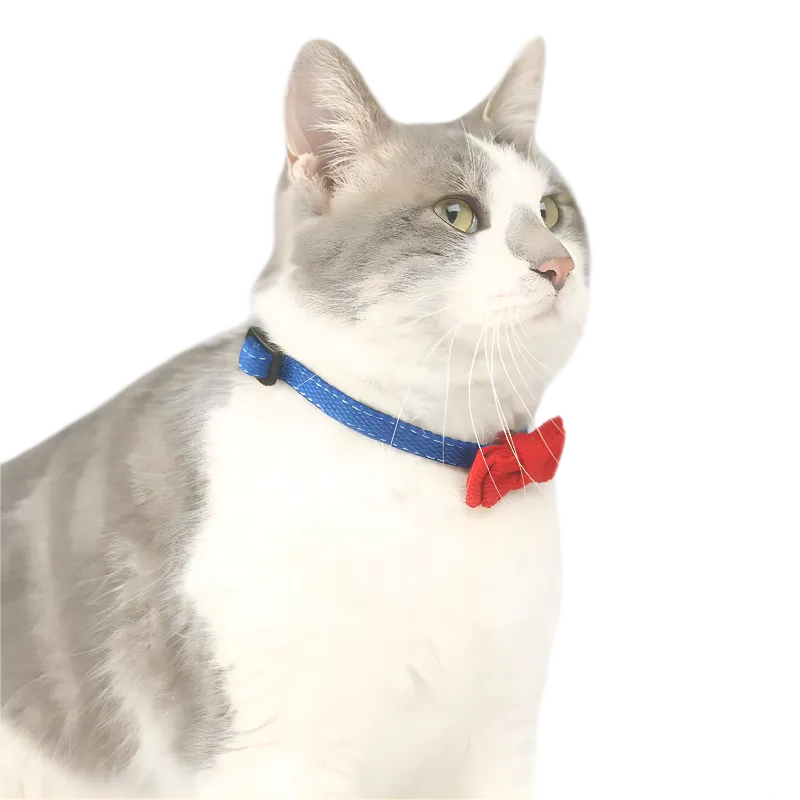 Colorful Canvas Cat Collar Bowtie