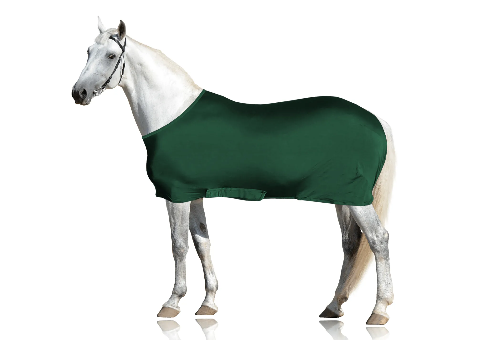 Derby Originals Comfy Stretch Lycra Sleazy Slicker Body Sheet with Belly Band