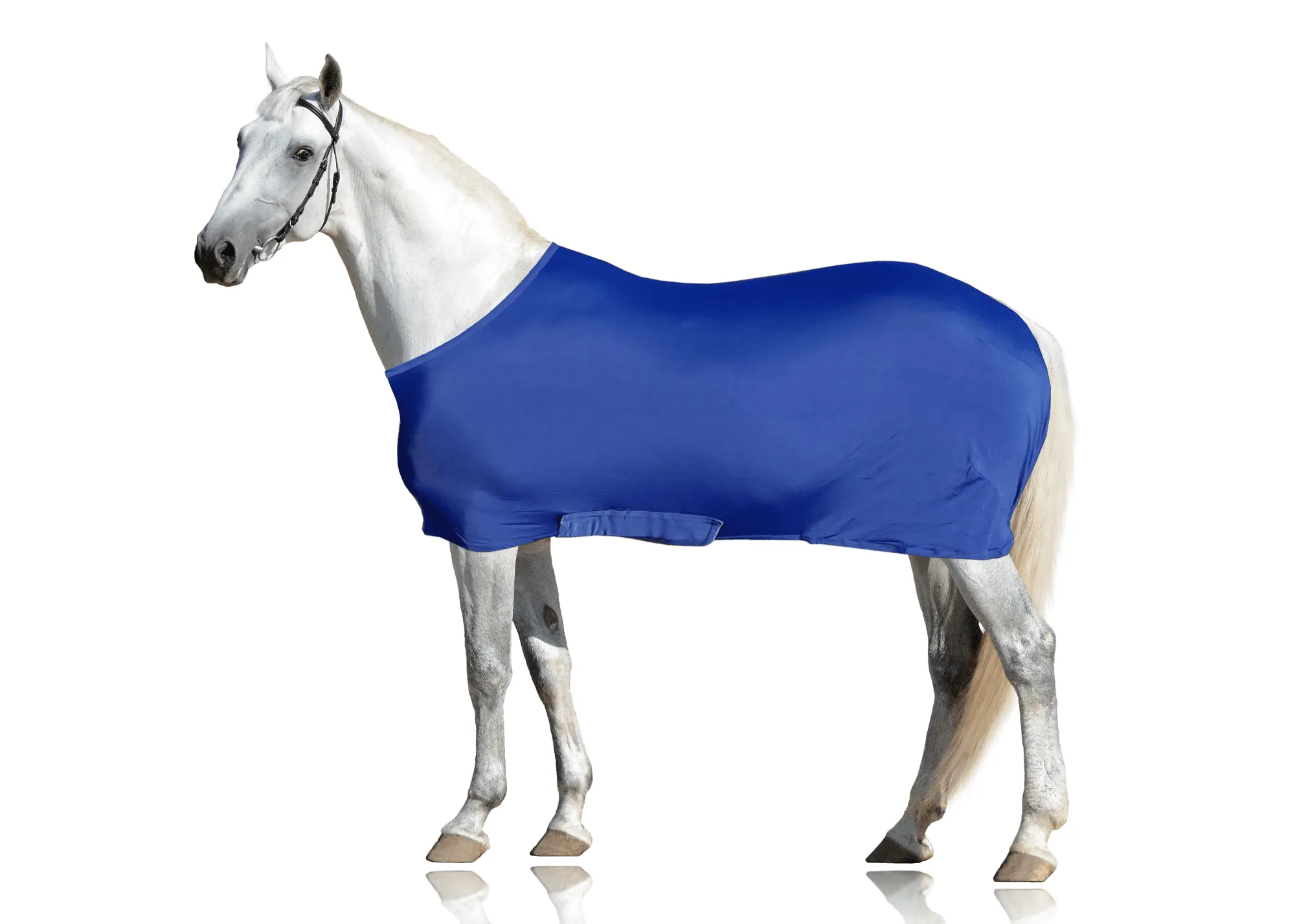 Derby Originals Comfy Stretch Lycra Sleazy Slicker Body Sheet with Belly Band