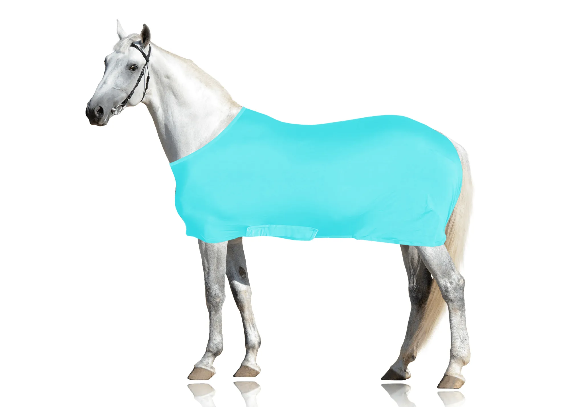 Derby Originals Comfy Stretch Lycra Sleazy Slicker Body Sheet with Belly Band