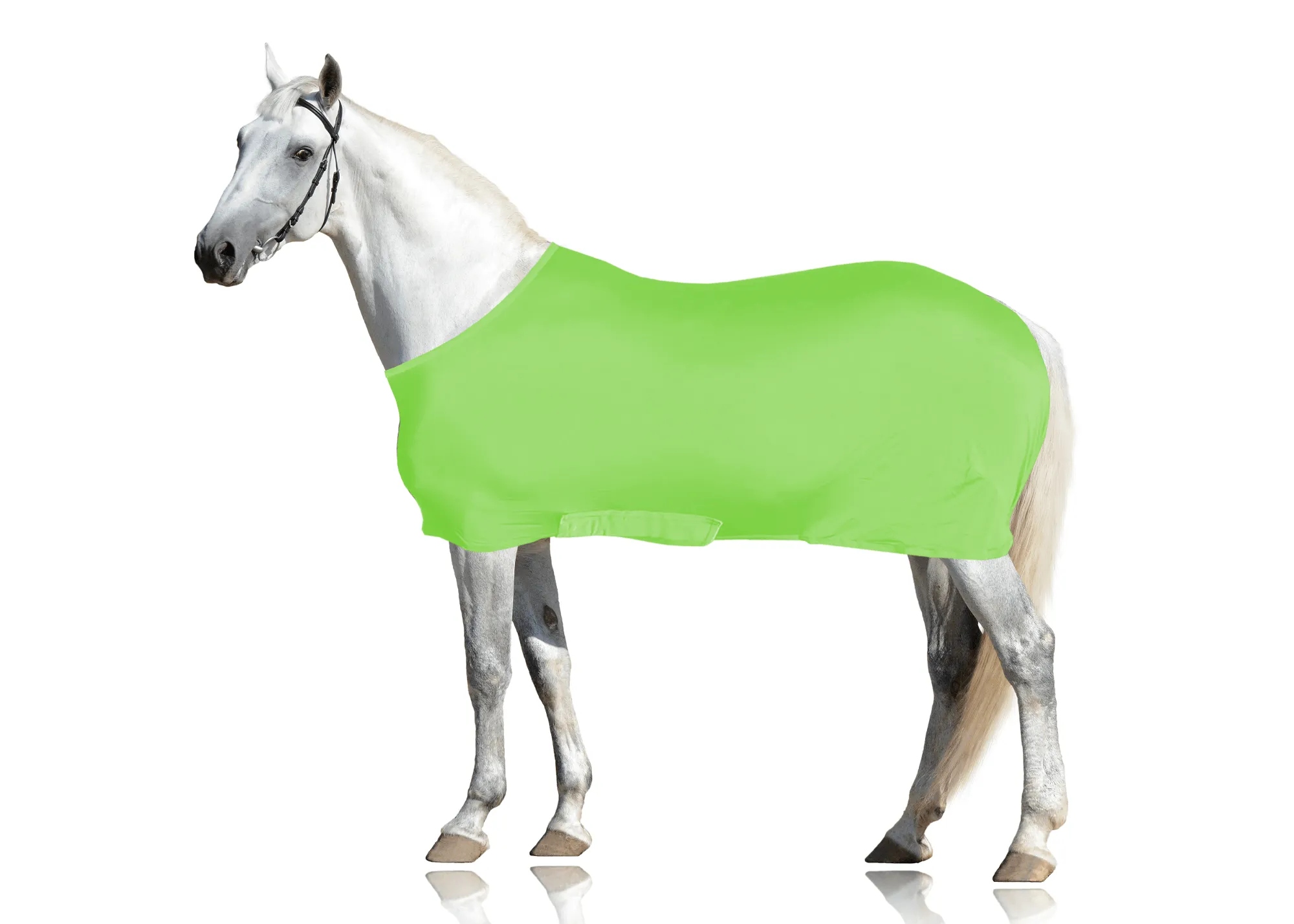 Derby Originals Comfy Stretch Lycra Sleazy Slicker Body Sheet with Belly Band