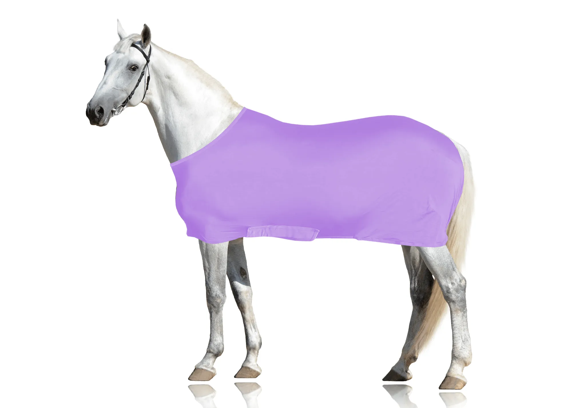 Derby Originals Comfy Stretch Lycra Sleazy Slicker Body Sheet with Belly Band