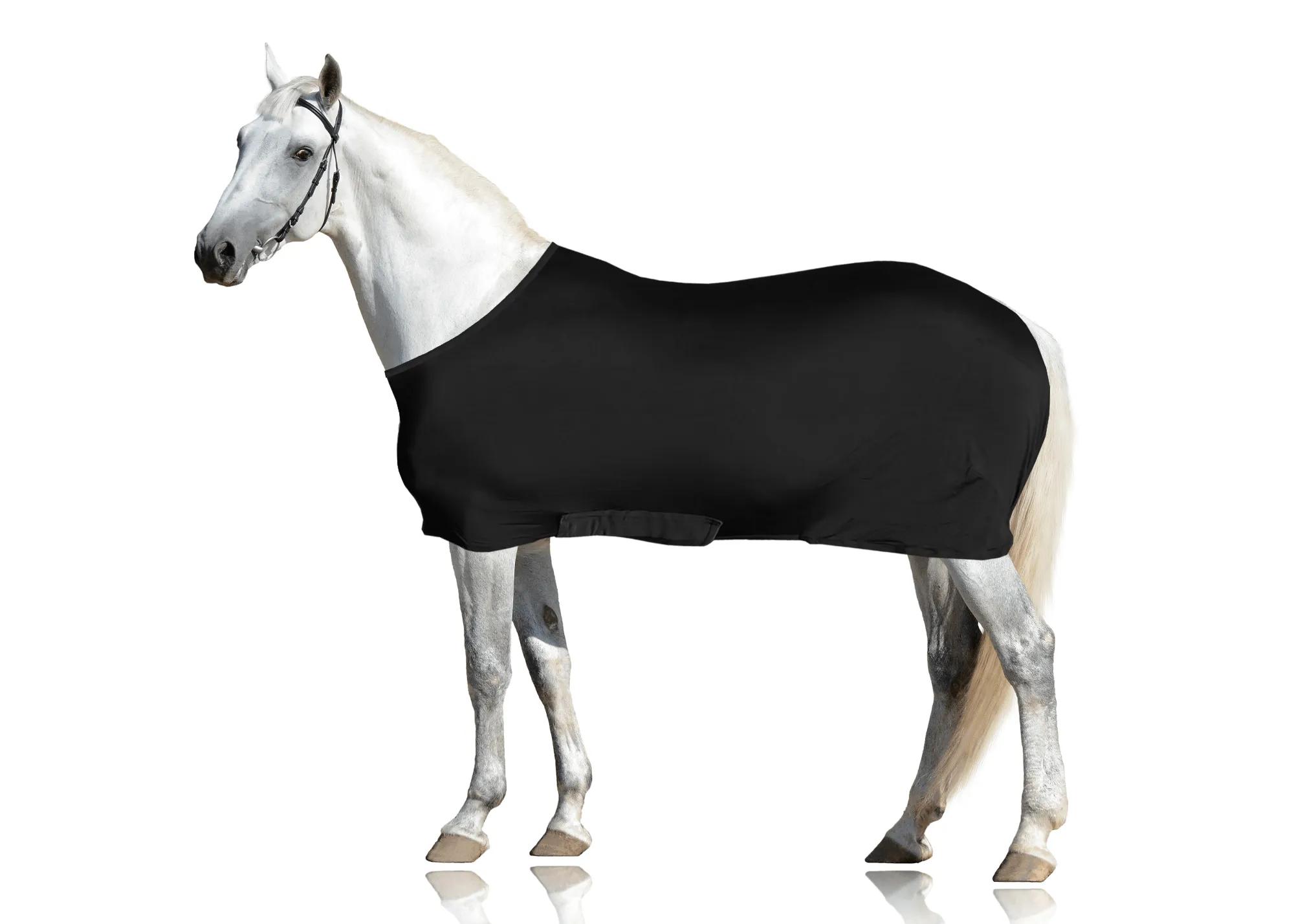 Derby Originals Comfy Stretch Lycra Sleazy Slicker Body Sheet with Belly Band