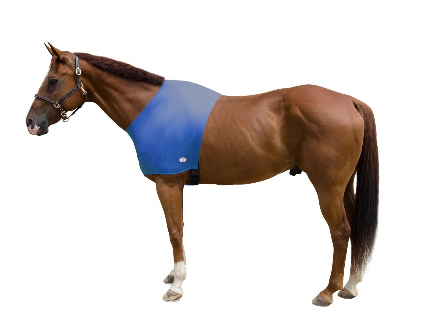 Derby Originals Comfy Stretch Lycra Sleazy Slicker Shoulder Guard