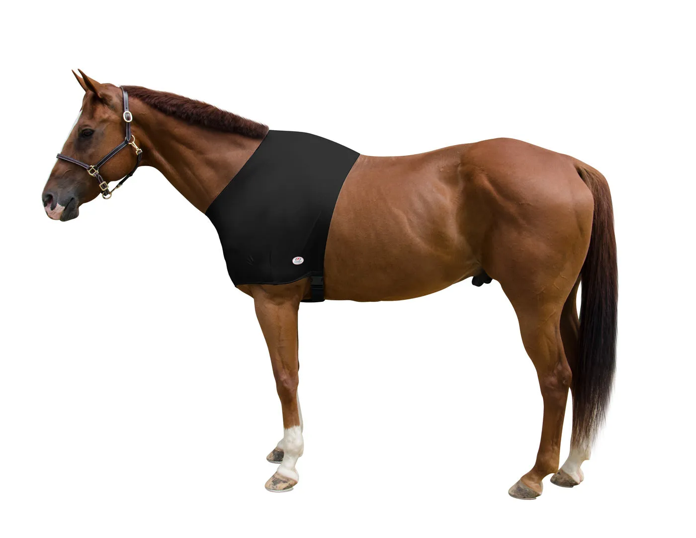 Derby Originals Comfy Stretch Lycra Sleazy Slicker Shoulder Guard