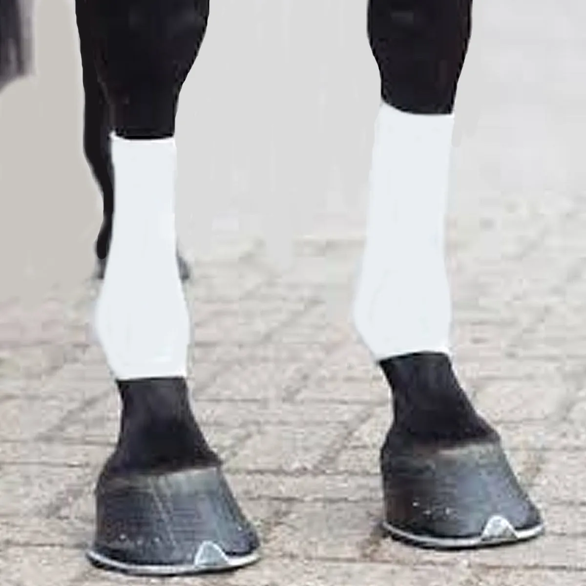 EquiFit Horsesox