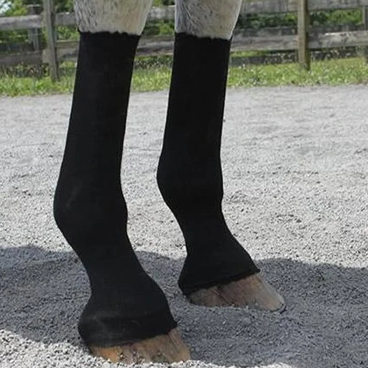 EquiFit Horsesox