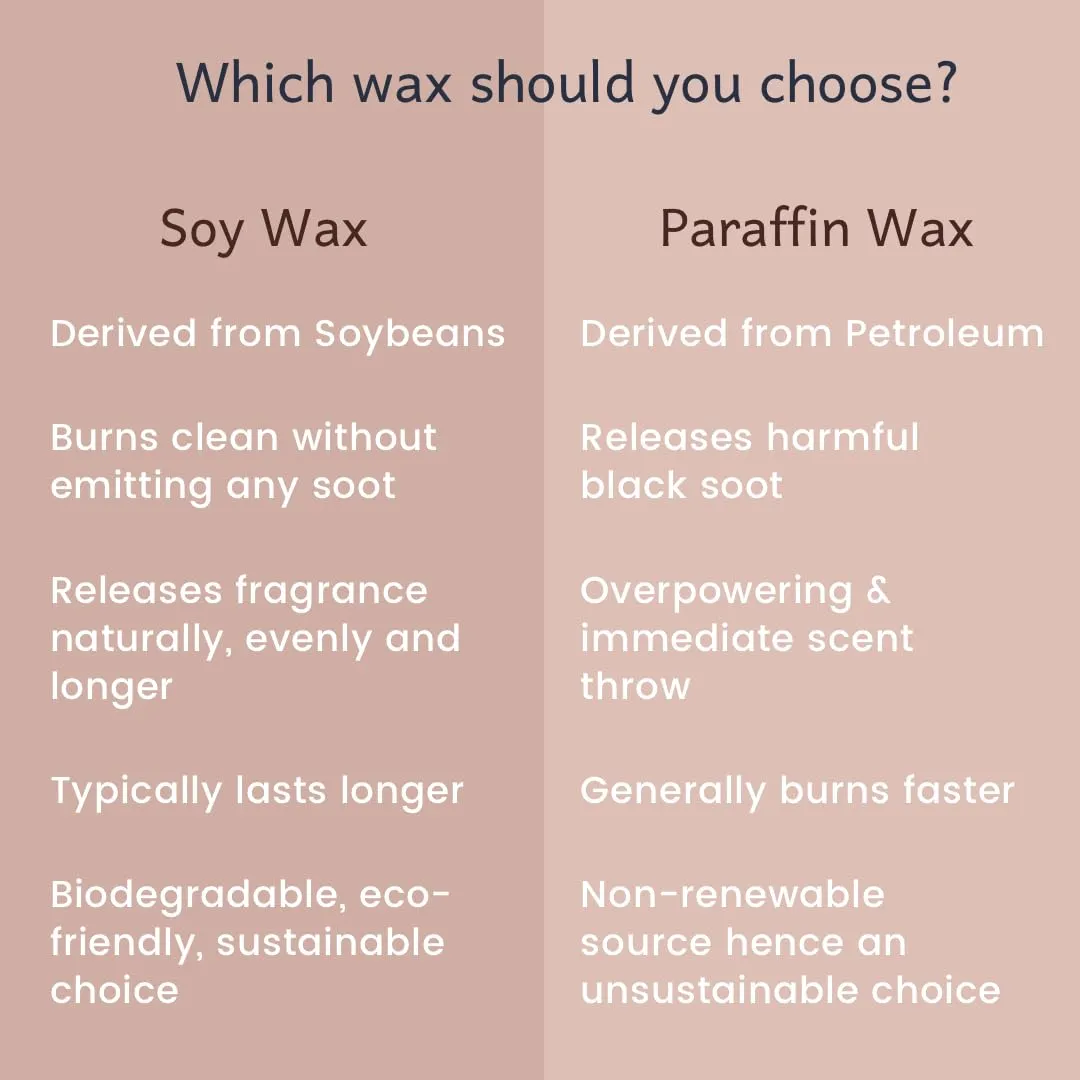 ESMY Soy Wax Scented Candle | Euphoric Oasis | 30 Hours Burn Time | Non-Toxic, Long-Lasting, Premium Scented Candle for Home Decor, Gifting & Aromatherapy