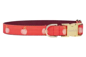 Gala Apples Dog Collar