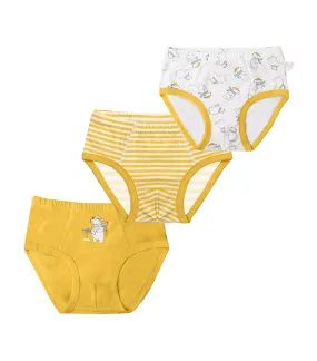Gig Briefs - Set of 3