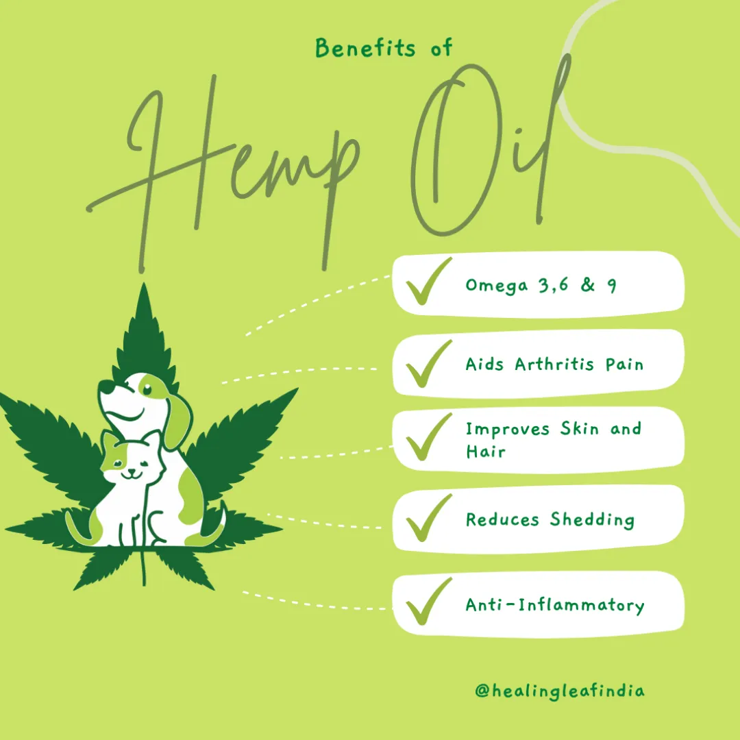 Hemp oil - Pet