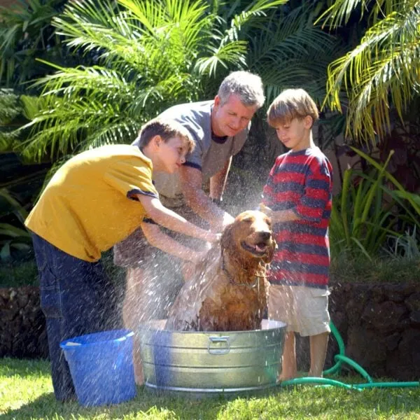 Hemp Pet Shampoo Australian Made 120g