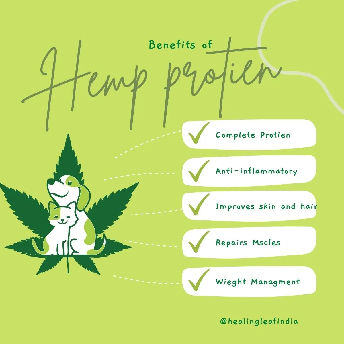 Hemp Protein Powder for Pets (100gm)