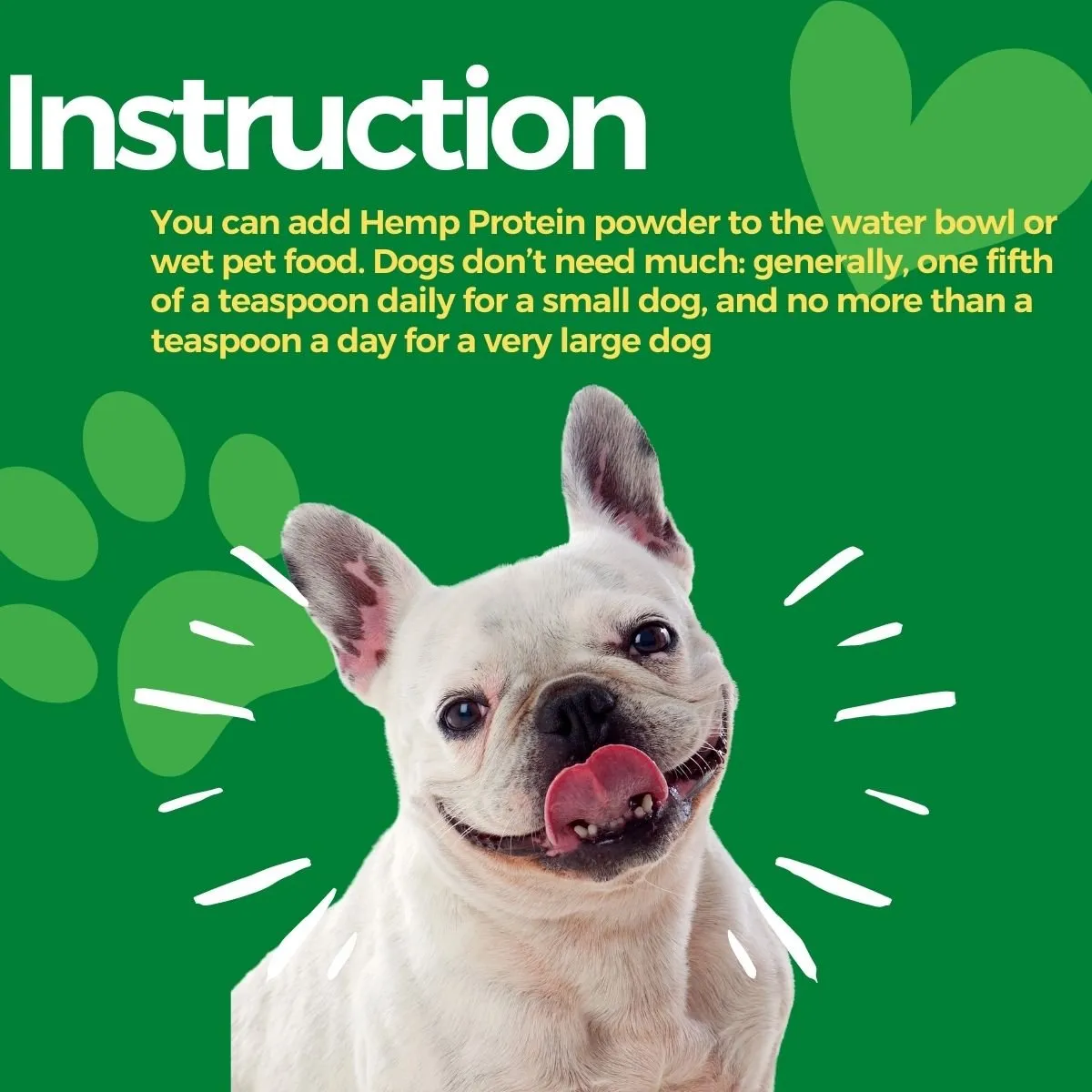 Hemp Protein Powder for Pets (100gm)