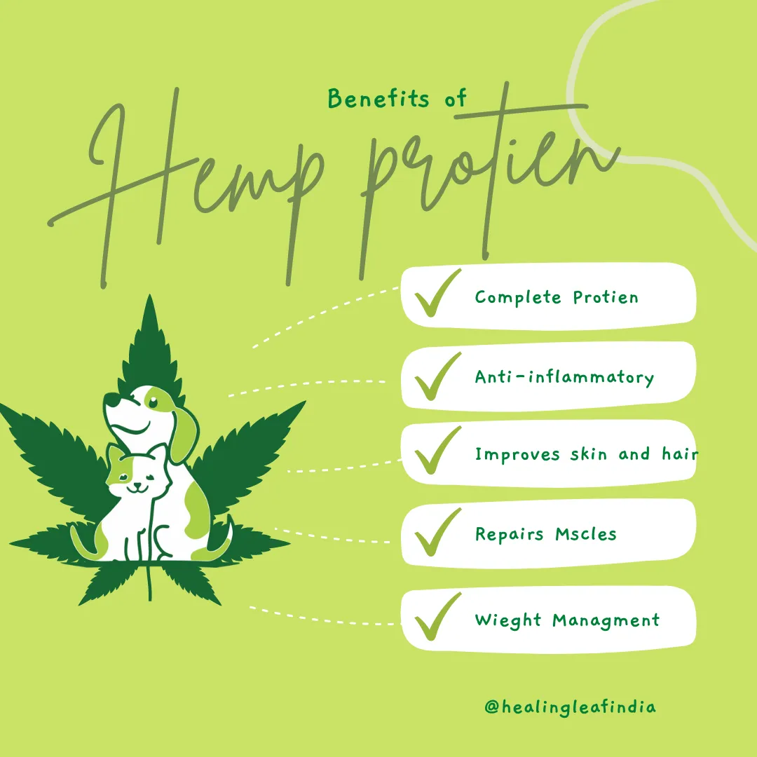 Hemp Protein powder - Pet (100gms)
