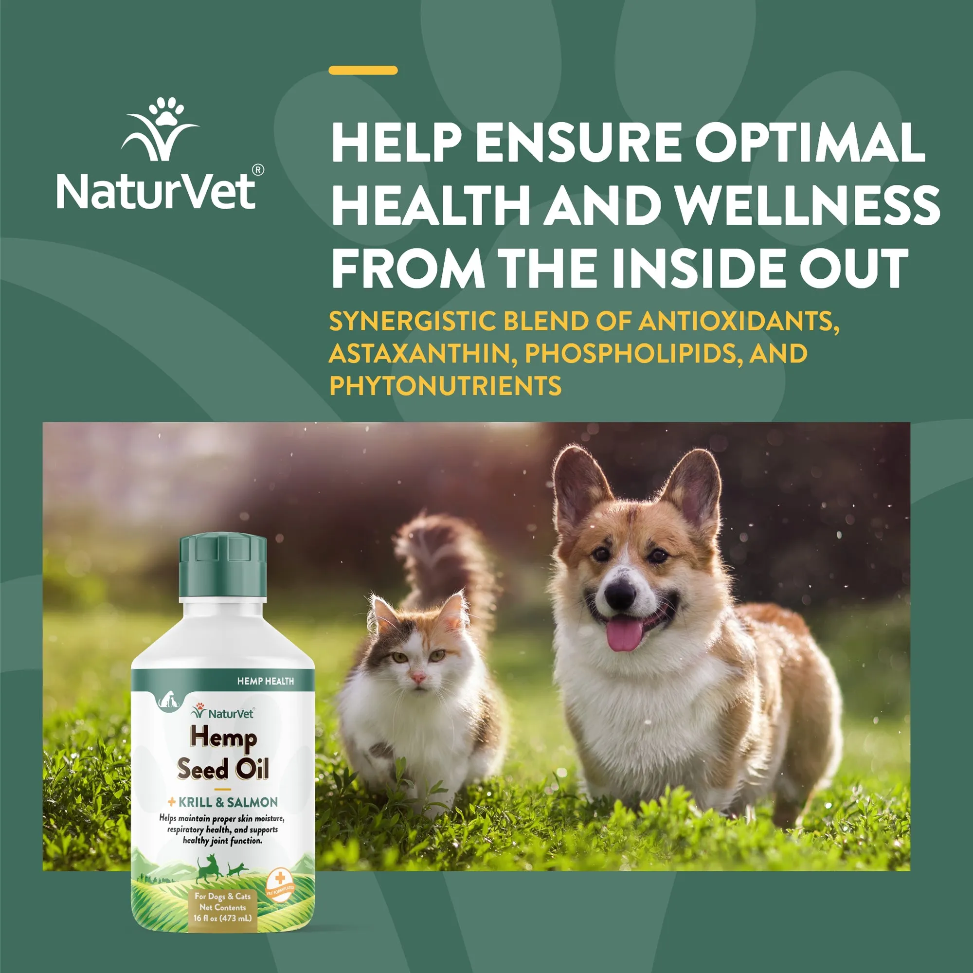 Hemp Seed Oil