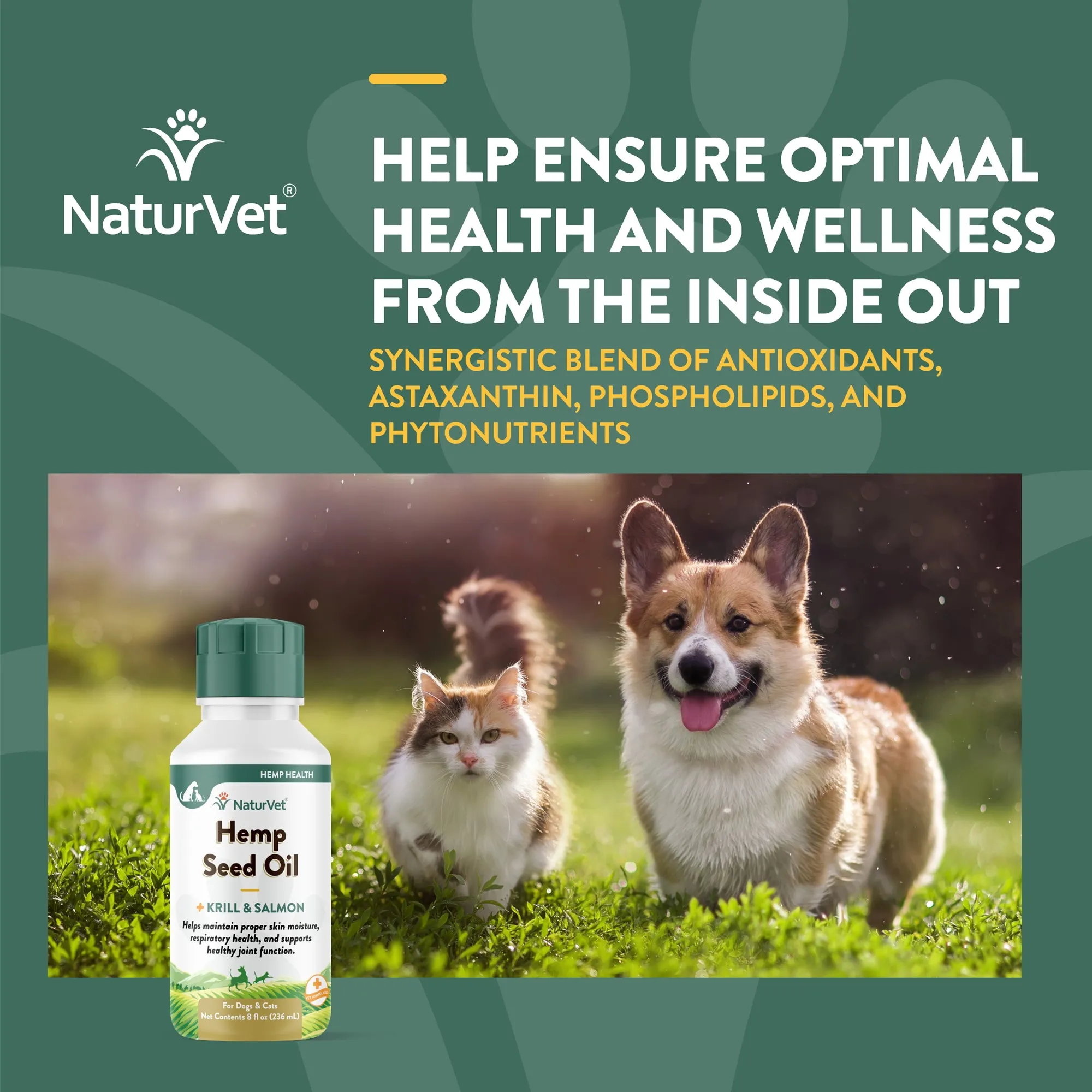 Hemp Seed Oil