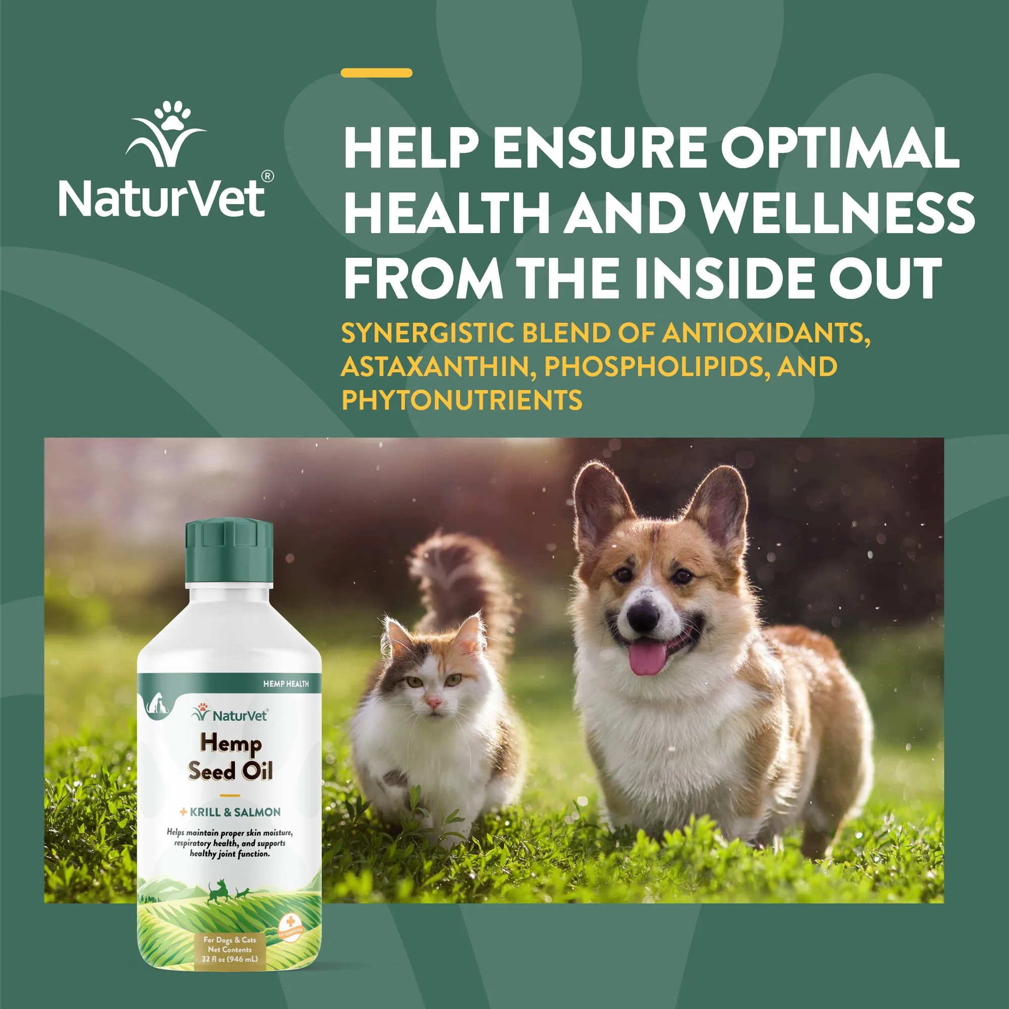 Hemp Seed Oil
