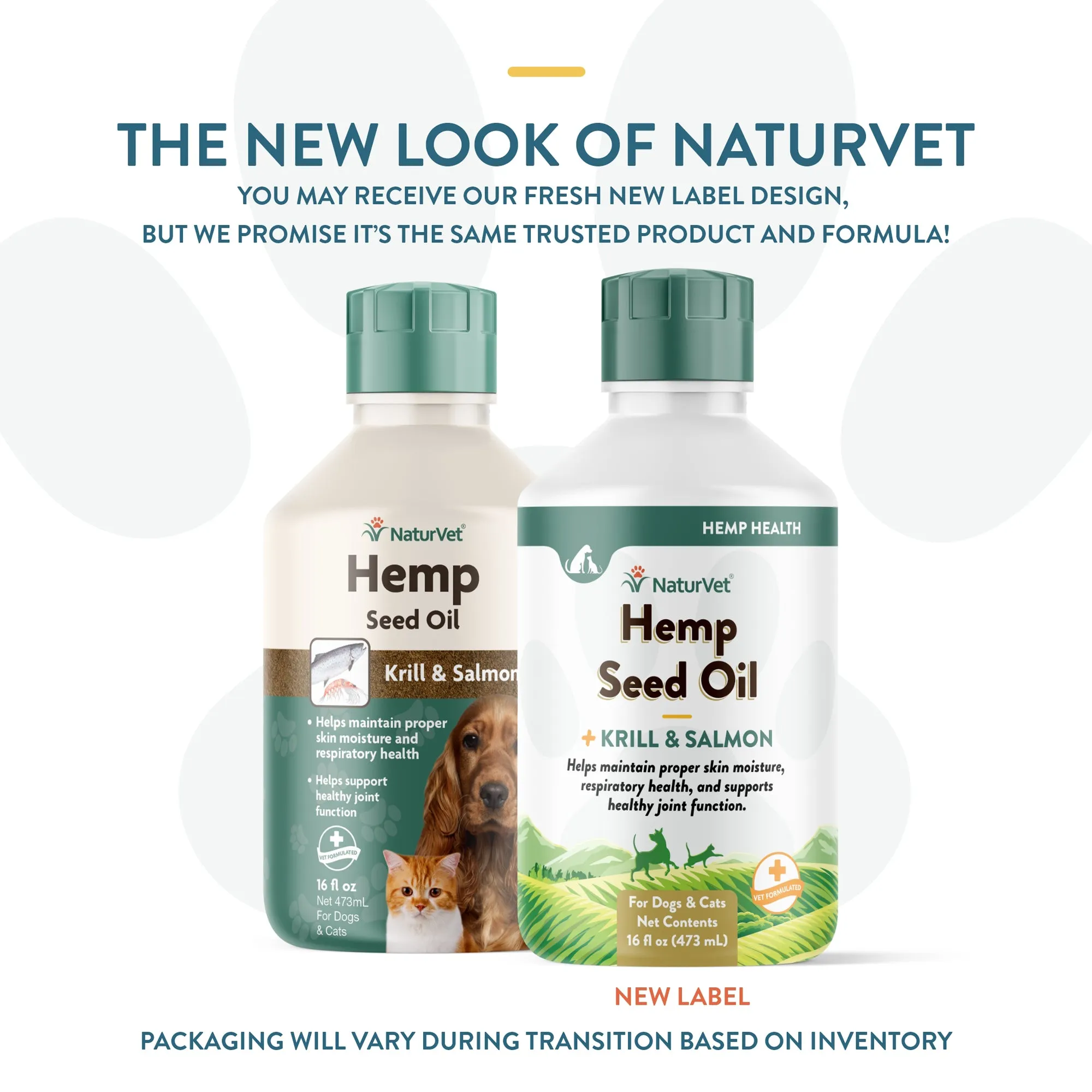 Hemp Seed Oil