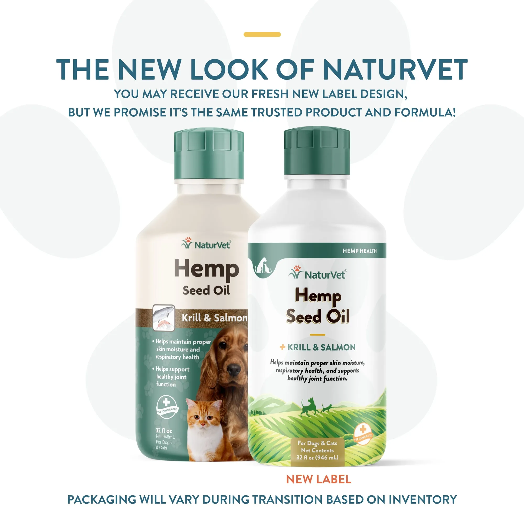 Hemp Seed Oil