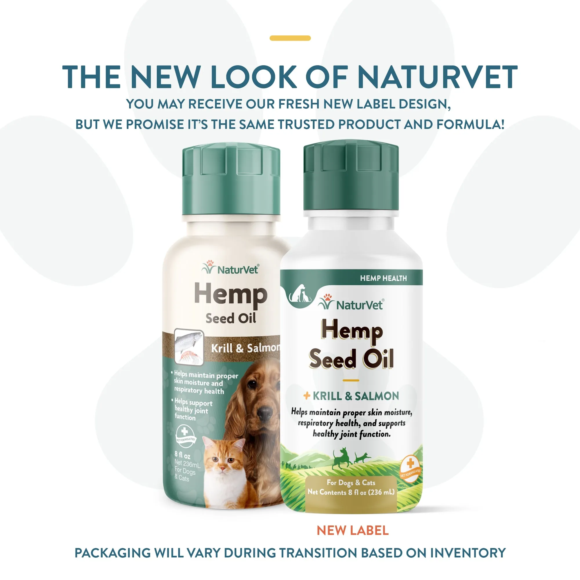 Hemp Seed Oil