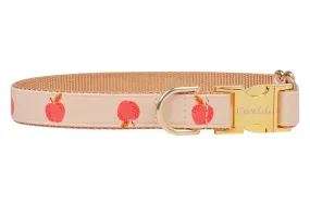 Honeycrisp Dog Collar