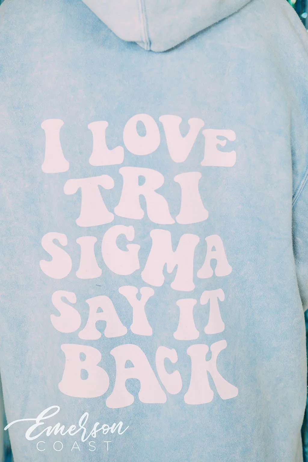 I love Tri Sigma Say It Back Mineral Wash Hoodie