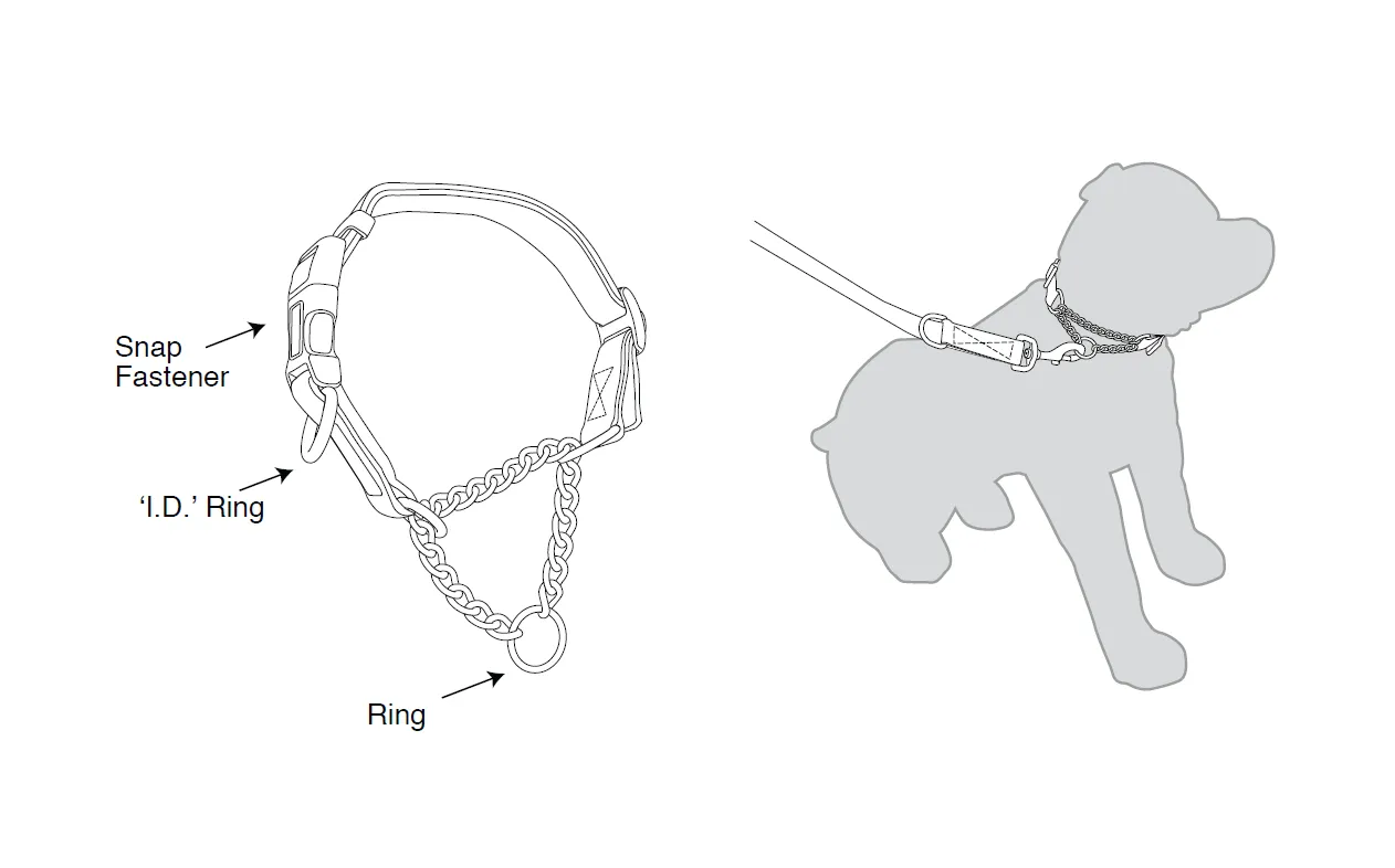 Kumfi - Kombi Martingale Collar (Large)