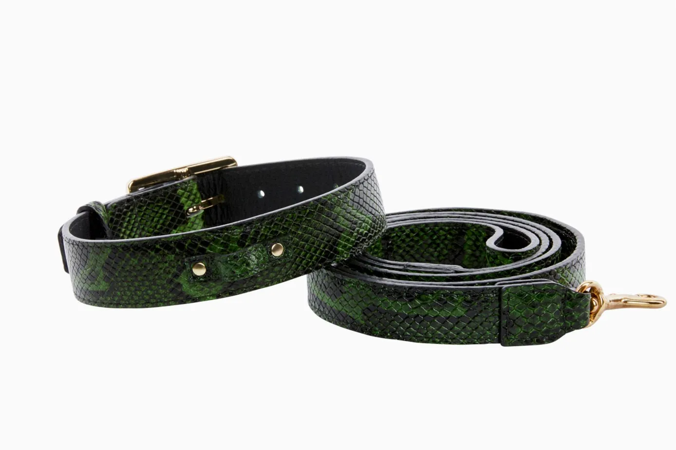 Luxury Pet Fashion Green and Black Embossed Python Italian Leather Collar & Leash Set.