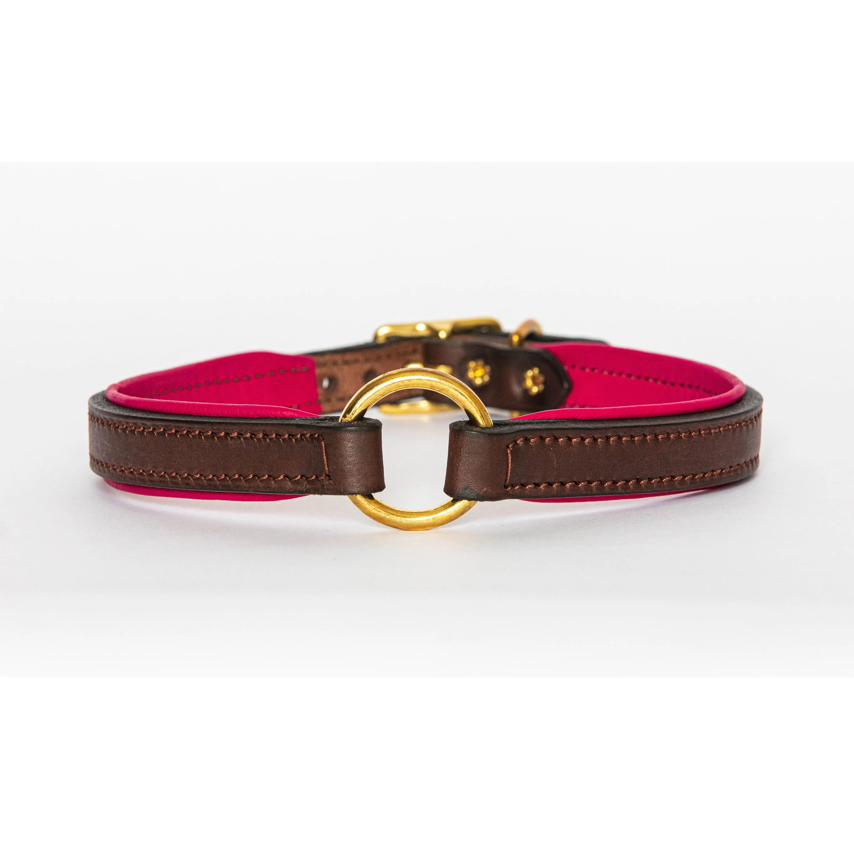 Padded Leather Nameplate Dog Collar