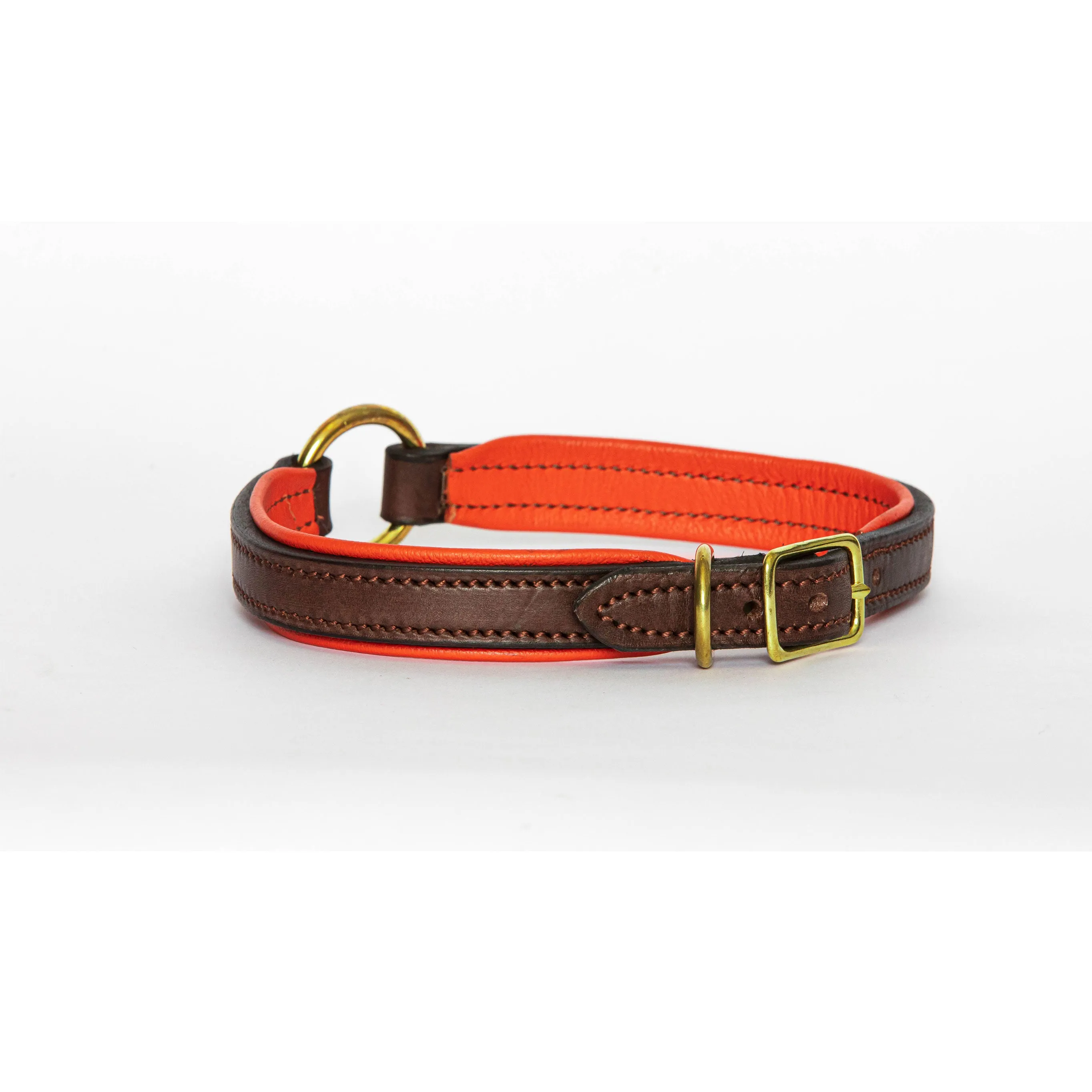Padded Leather Nameplate Dog Collar