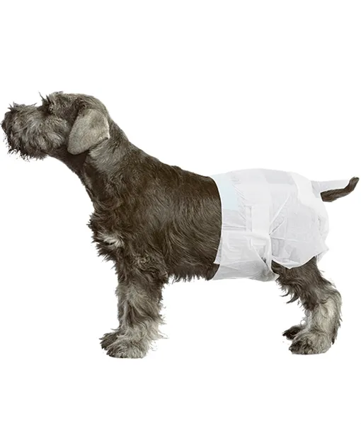 Pawise - Disposable Female Dog Diapers 12 pieces
