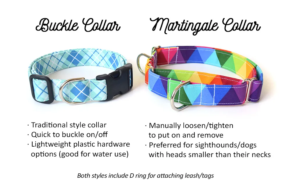 Rainbow Dots on Black Dog Collar