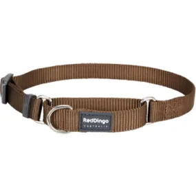 Red Dingo Martingale Half Check Brown Dog Collar (4 Sizes)