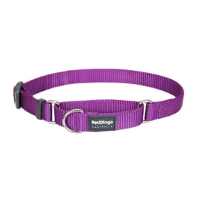 Red Dingo Martingale Half Check Purple Dog Collar (4 Sizes)