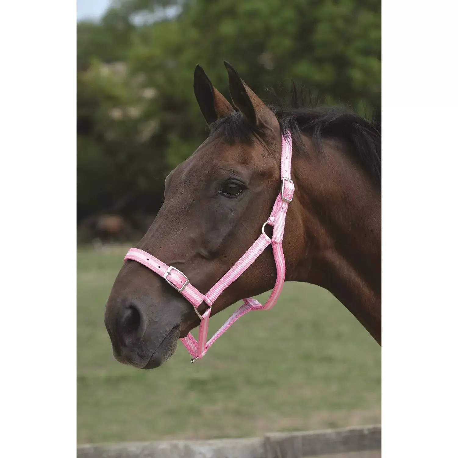 Roma Pink & Silver Headcollar & Lead Rope Set - Cob