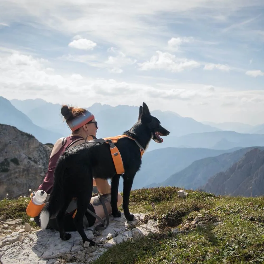 Ruffwear Omnijore Dog Joring Harness System