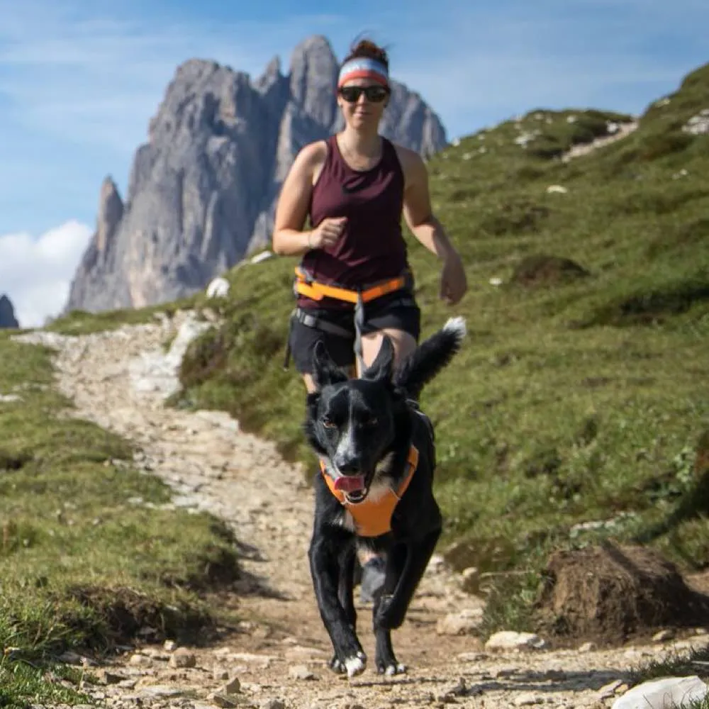 Ruffwear Omnijore Dog Joring Harness System