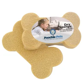 The Dry Sponge